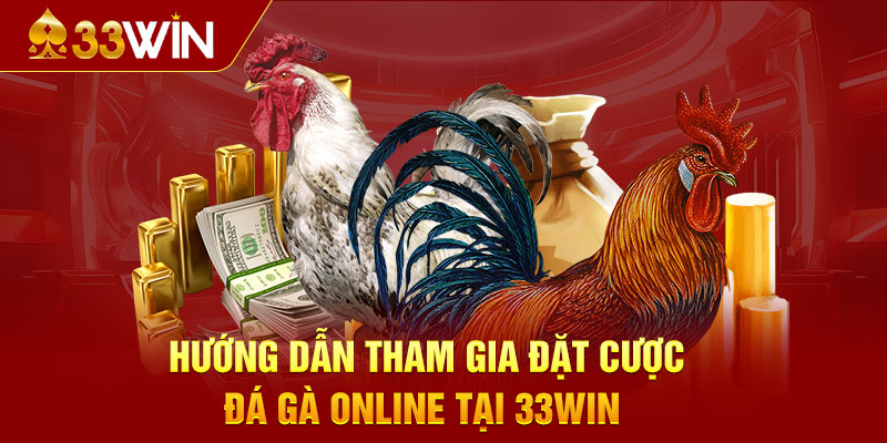 Hướng dẫn tham gia và đặt cược đá gà 33WIN