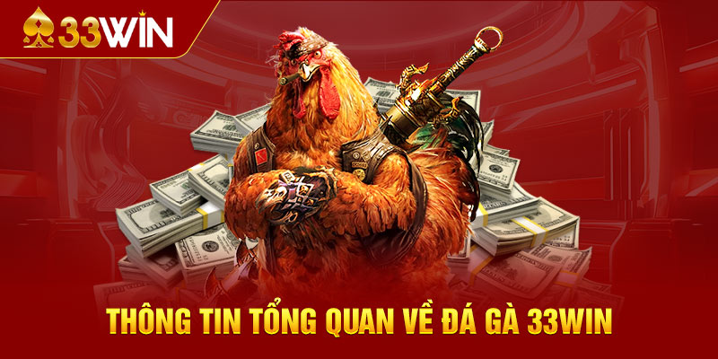 Thông tin tổng quan về Đá gà 33WIN