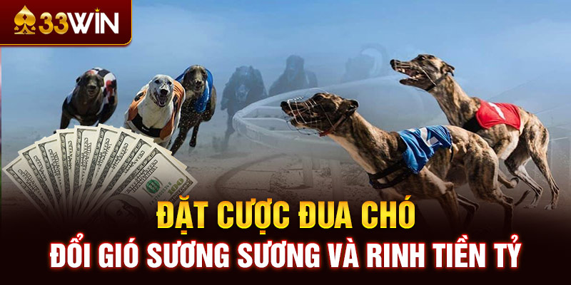 Đặt cược đua chó - Đổi gió sương sương và rinh tiền tỷ 