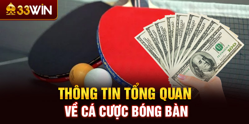 Cá cược bóng bàn - Bí kíp thắng dễ như trở bàn tay