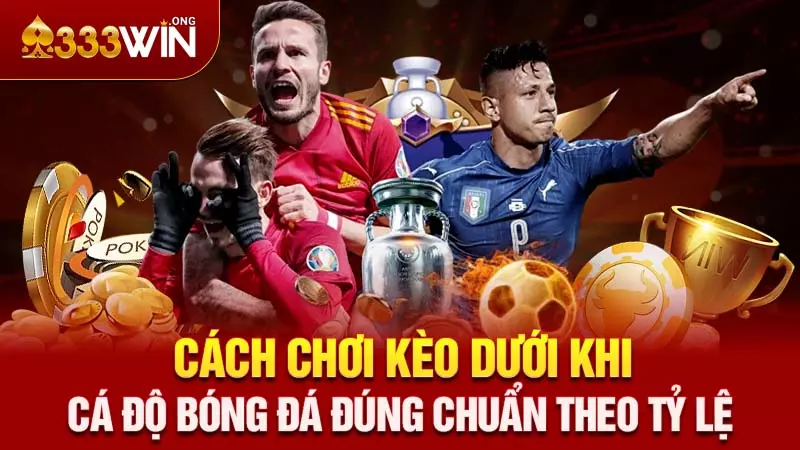 Cách Chơi Kèo Dưới Khi Cá Độ Bóng Đá Đúng Chuẩn Theo Tỷ Lệ